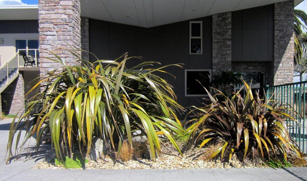 Stay 284 Rotorua - Refurbished Modern Accommodation Екстериор снимка